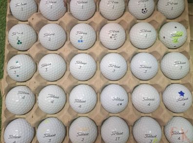 Titleist Pro V1
