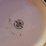 Fine Bone China Dog Themed Tankards Image 5