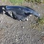 Mazda cx5 LED right headlight Image 2