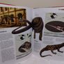The Body Compact Knowledge Hardback Books Image 8