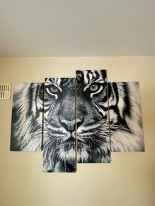 tiger canvas