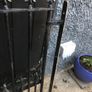 Set of wrought iron driveway gates and side gate Image 5