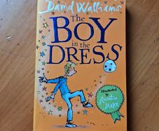 David Walliams - The Boy in the Dress