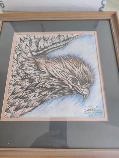 Lovely Fraamrd Signed Pictuer Of Egale  Pencel Coloered By Alan Whitty.
