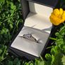 18ct White Gold Diamond Engagement Ring Image 3