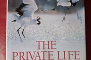 The Private Life of Birds Michael Bright / 1993