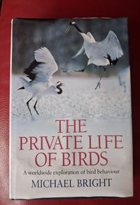 The Private Life of Birds Michael Bright / 1993