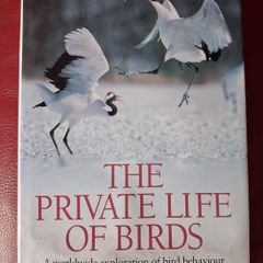 The Private Life of Birds Michael Bright / 1993
