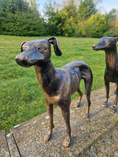 Pair of greyhounds
