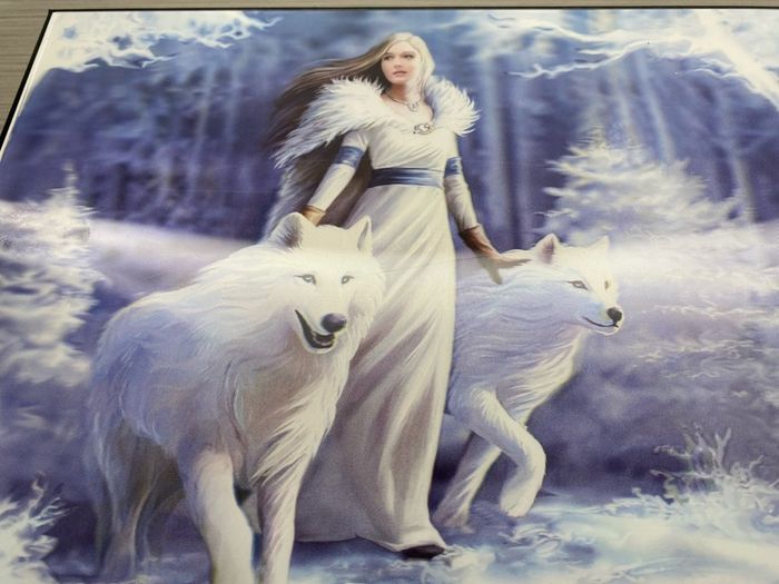 Winter guardians 3D Jigsaw Puzzle multilayered 500 piece