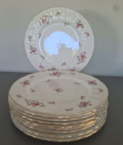 10 Dinner Plates Paragon Fragrance