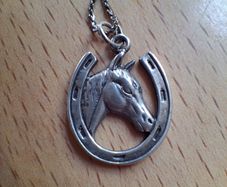 Silver horses head and horseshoe