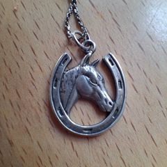 Silver horses head and horseshoe