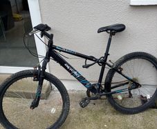 Lads mountain bike