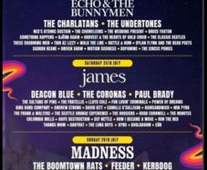 Forest Fest campervan ticket with 2x weekend admission
