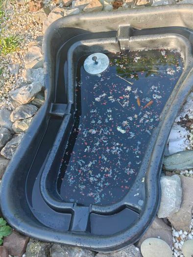 fish pond