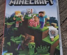 Minecraft Switch