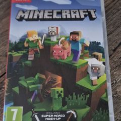 Minecraft Switch