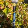 TaylorMade Spider Putter Image 5