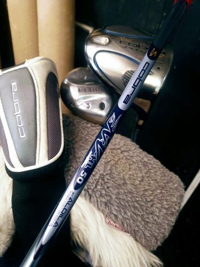 Set of Ladies Golf Clubs