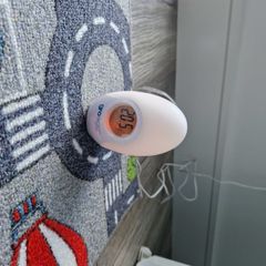 Tomme tippee gro egg thermometer