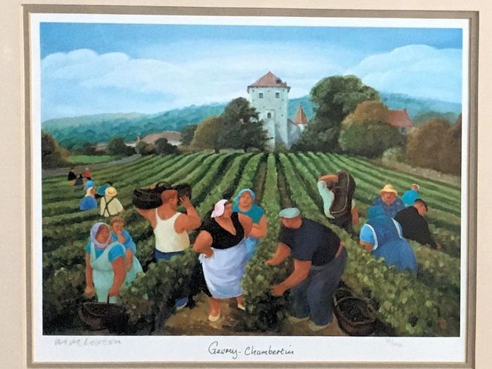 Margaret Loxton - Burgundy Vineyards Set of 4 limited edition prints