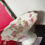 Aynsley " Elizabeth Rose" Image 7