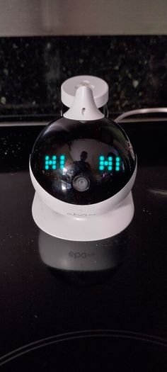 EBO Robot friend for cats.