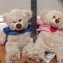Teddy bears Image 2
