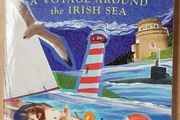 Turning Tides: A Voyage Around The Irish Sea by Andrew Phelan