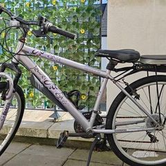 Girls MTB Bike. Fitted with stand and pillion seat as well.