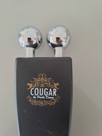 facial massager