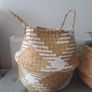 Seagrass belly baskets Image 2