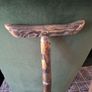 Walking Stick Image 2