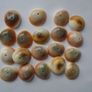 Jewellery making supplies, Beads. Shiva eye shell beads.Shell beads,Craft supplies Image 2