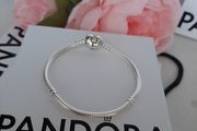 New genuine pandora charm bracelet