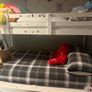 harvey norman bunk bed Image 4