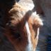 Aggie Bryla