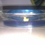 Soap Dish Image 2