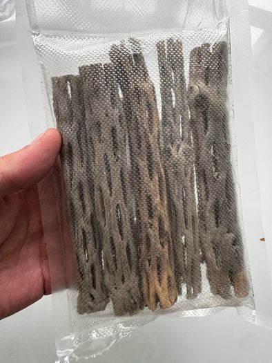 cholla wood & lotus pods for shrimps/aquarium