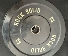 2 x 15kg weight plates