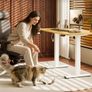 110 x 54 Electric Standing Desk ONE PIECE Height Adjustable Standing Desk Image 10
