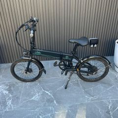 Fiido Electric Bike D4s
