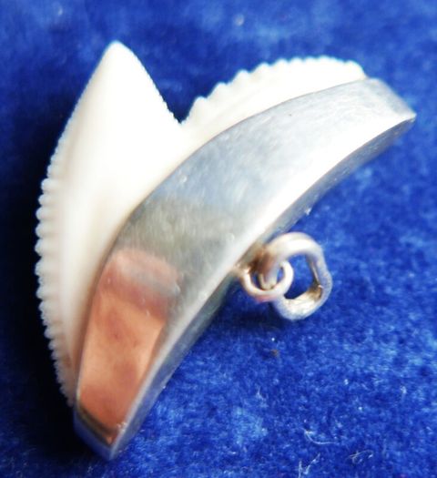 Vintage Sterling Silver Mounted Sharks Tooth Pendant