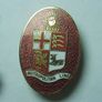 RAILWAY COMPANY (logos & crests) - 9 x quality enamel badges (1970s to early 1990s). Lot C Image 6
