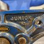 junior record vice Image 2
