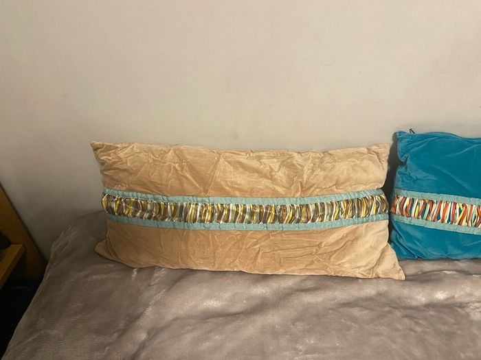 2 Velevt cushions