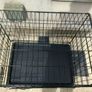 medium dog travel crate Image 5