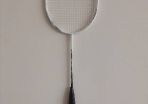 Ashaway Viper Xtreme L10