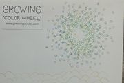Growing CD - Color Wheel